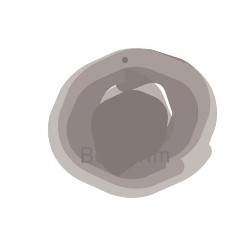 Логотип Boxtarim